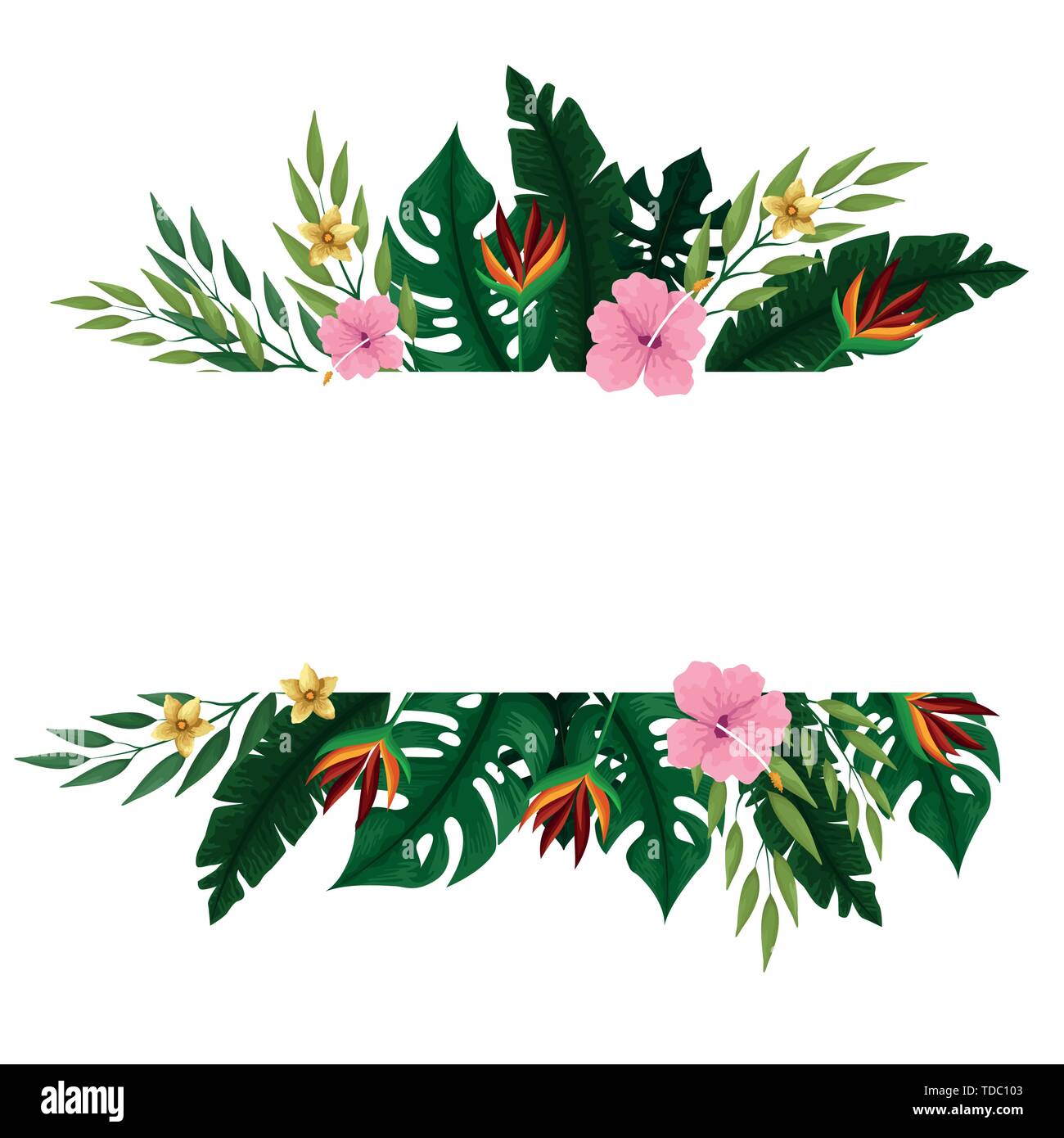 Summer tropical blank card frame Stock Vector Image & Art - Alamy