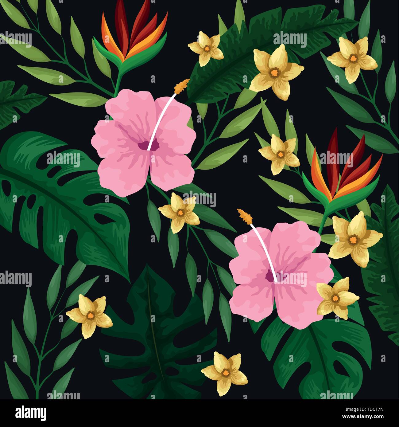 Tropical summer background pattern Stock Vector Image & Art - Alamy