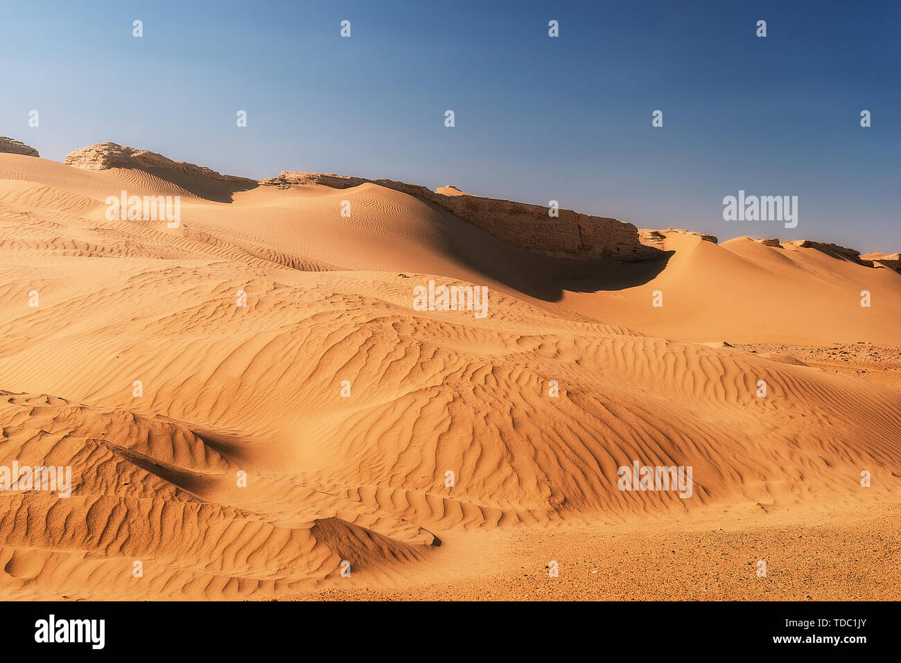 Desert sand sand dunes dry wasteland dry no one is lonely hot adventure adventure heat and sandy thirst. Hills and lonely tourism with camels and footprints outdoors Stock Photo