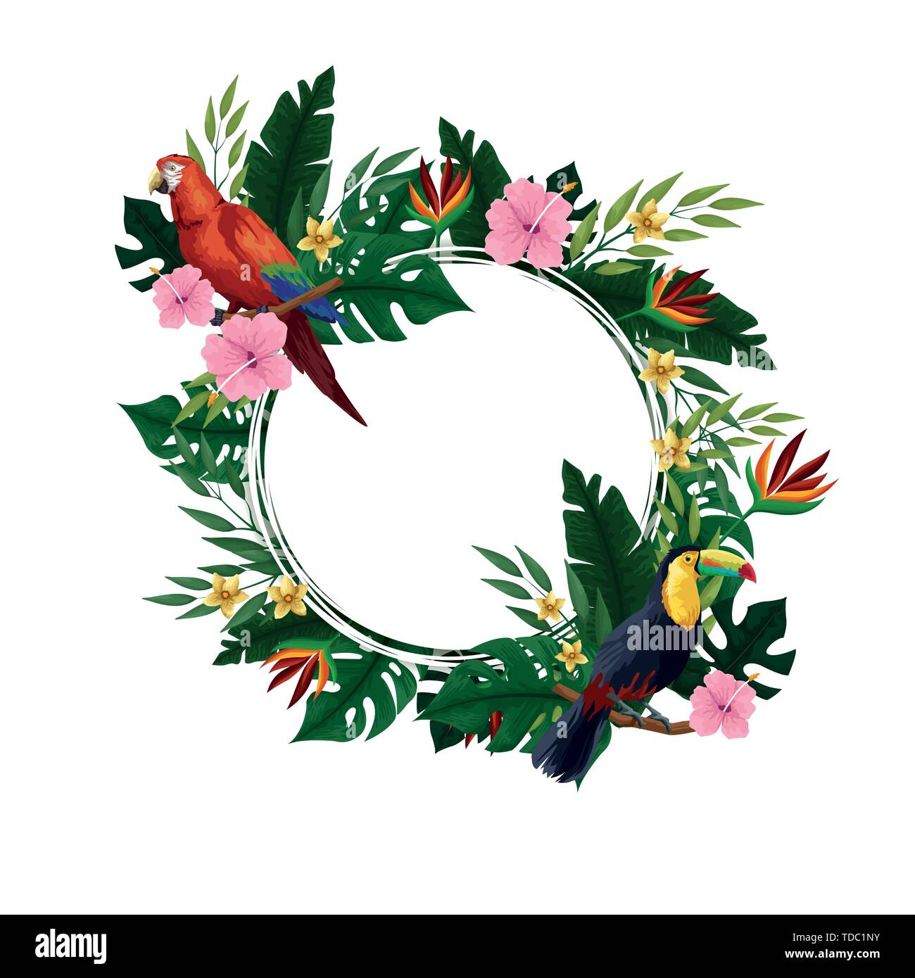 Summer tropical blank card frame Stock Vector Image & Art - Alamy
