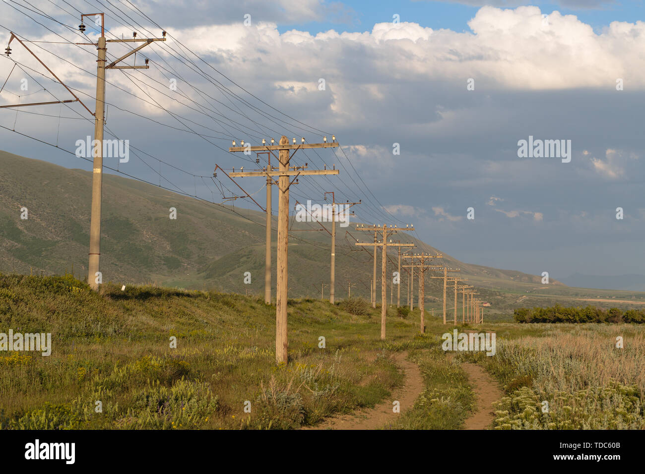 poles with electric wires in the field Stock Photo - Alamy