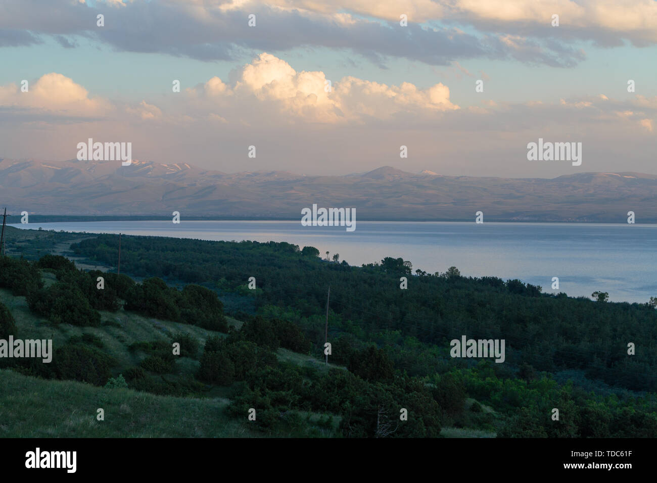 evening landscape of hills with trees and sea in the background of mountains and white clouds Stock Photo