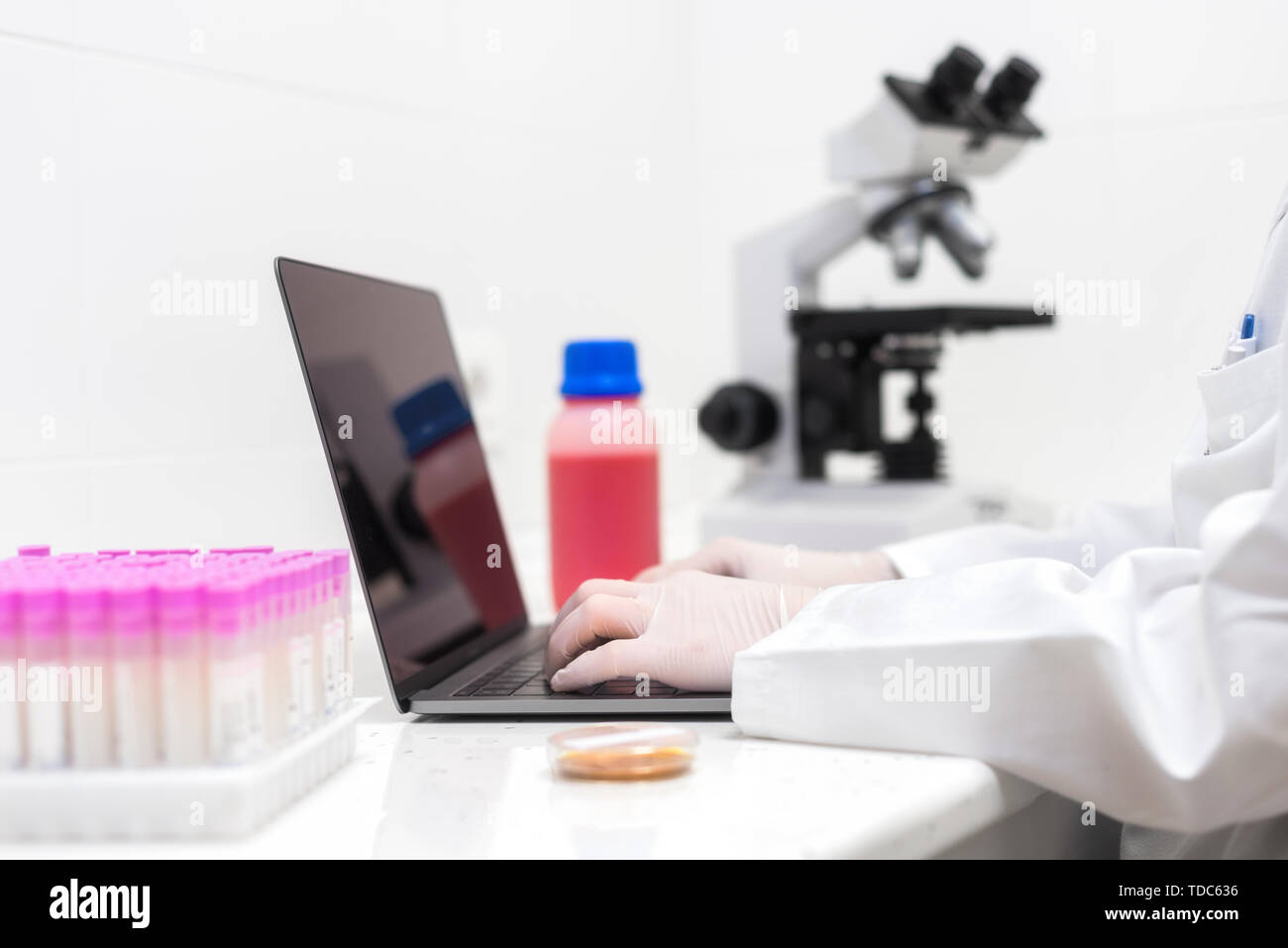 scientist using laptop in laboratory. Close-up partial view of scientist using laptop in laboratory . Stock Photo