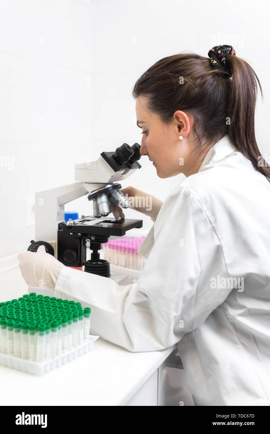 Researcher working in laboratory looking through microscope . Stock Photo