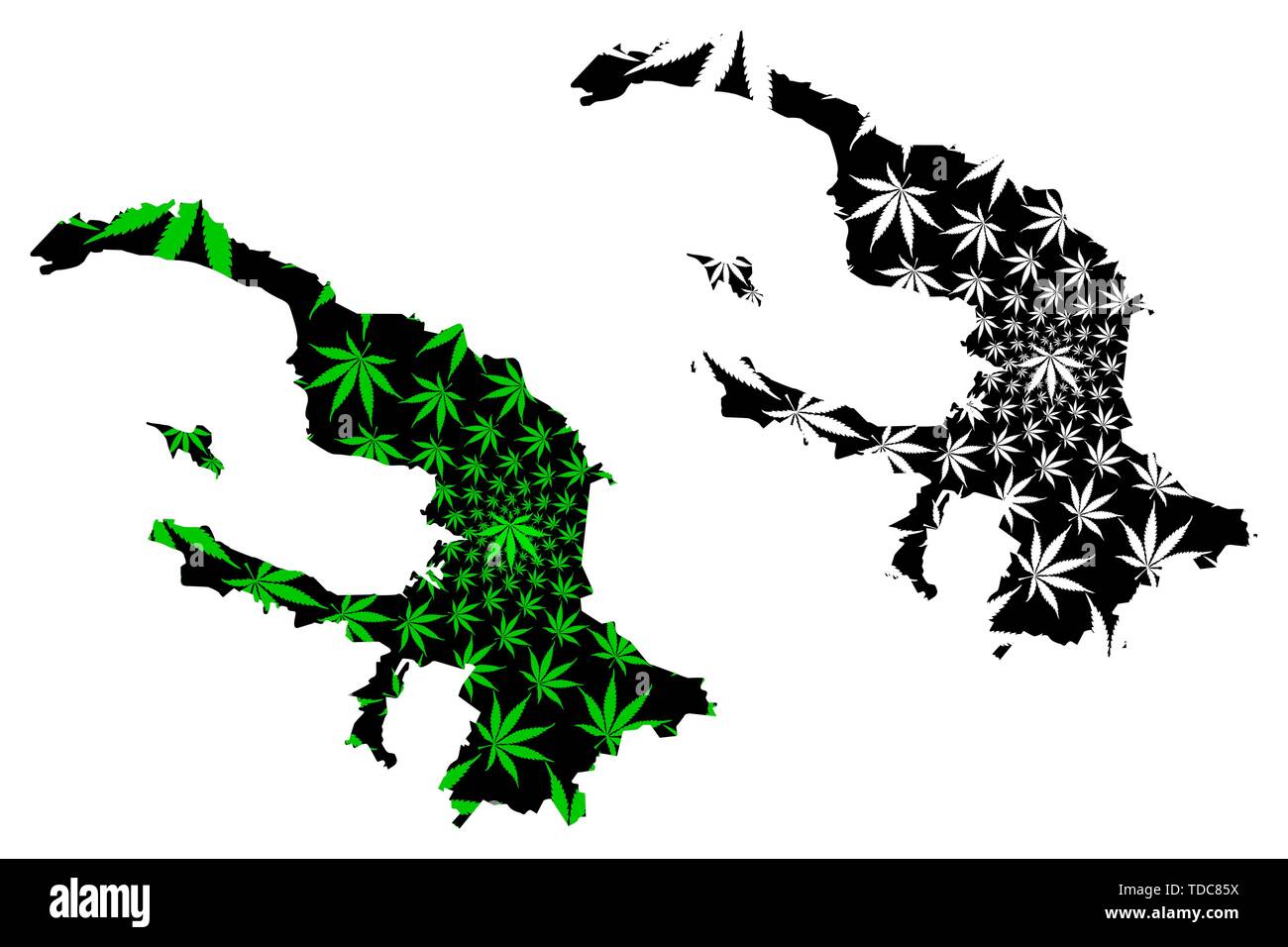 Saint Petersburg (Russia, Federal cities of Russia) map is designed cannabis leaf green and black, Saint Petersburg (Leningrad, Petrograd) map made of Stock Vector