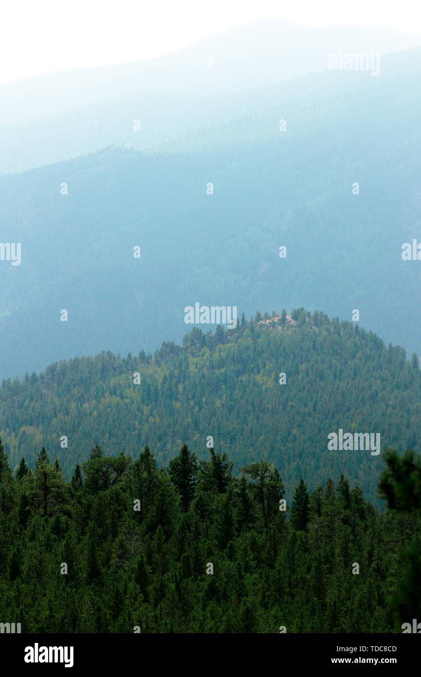 Drone aerial shot thick forest hi-res stock photography and images - Alamy