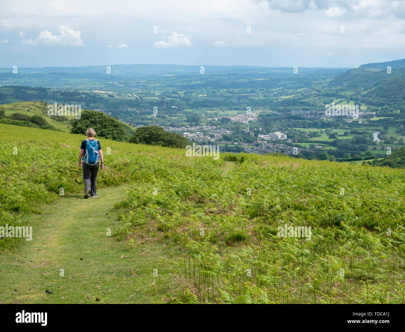 A woman walking in the hills near Abergavenny and Sugar Loaf Mountain in the brecon Beacons Wales UK Stock Photo