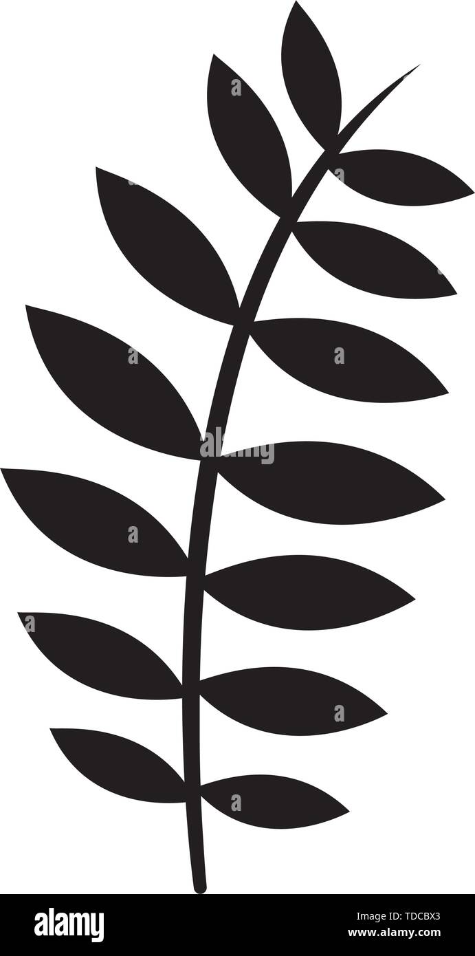 summer leaf natural isolated icon vector illustration design Stock ...