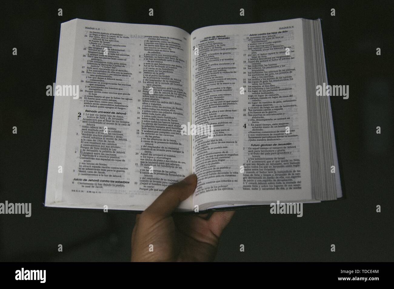 Hand holding the bible in Spanish Stock Photo Alamy