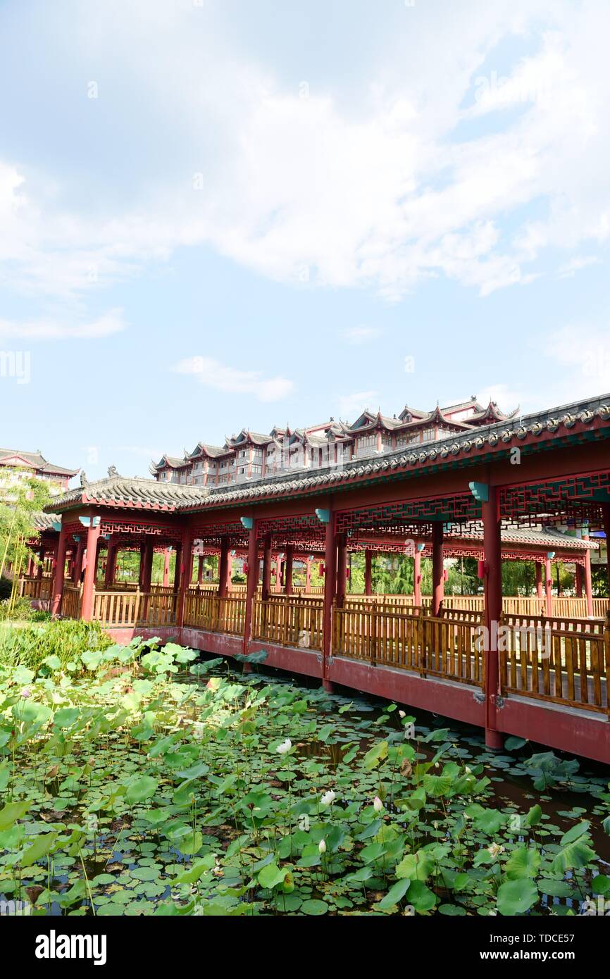 Antique architecture and lotus pavilion lotus Stock Photo Alamy