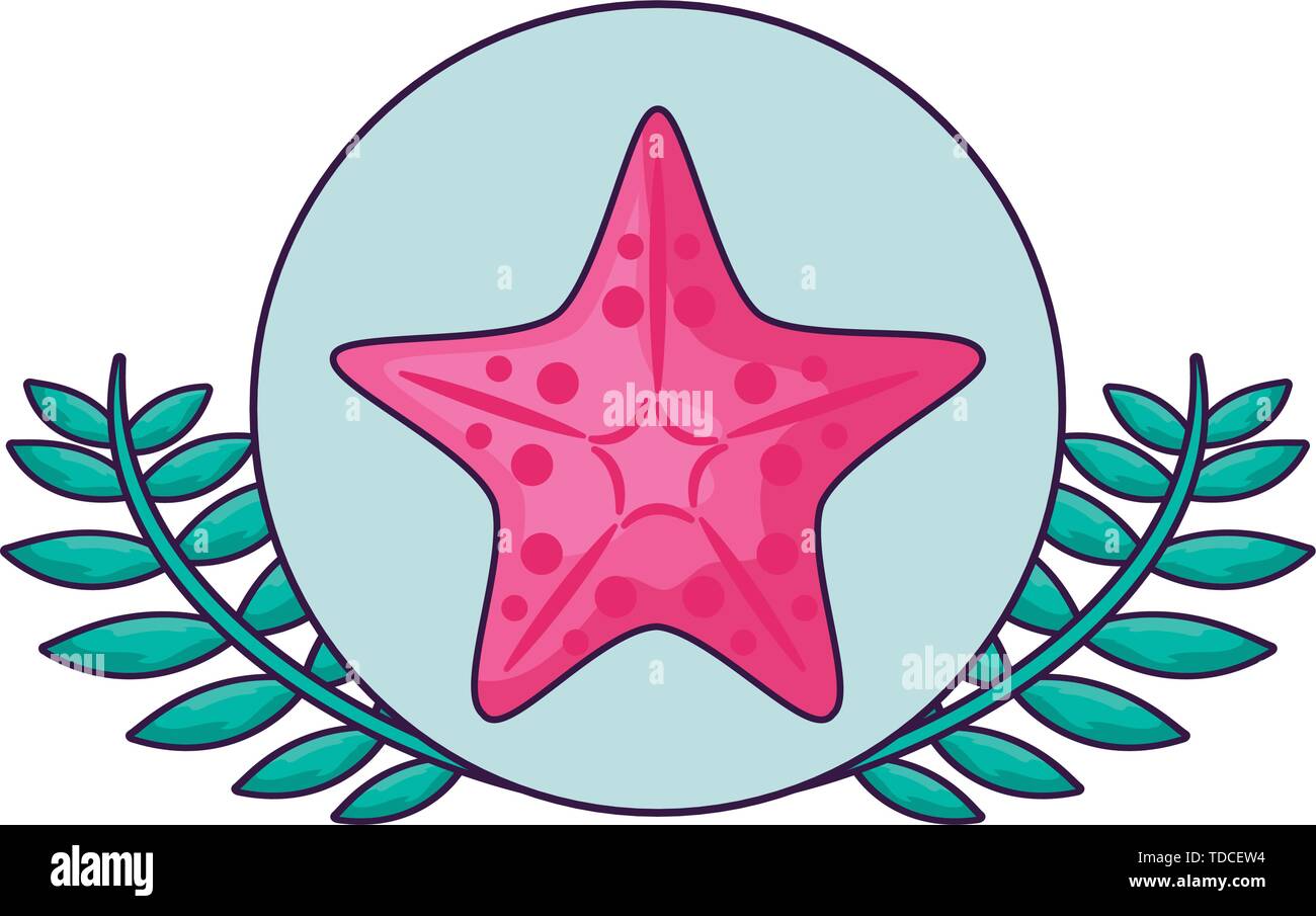 cute starfish in frame circular with leafs vector illustration design ...