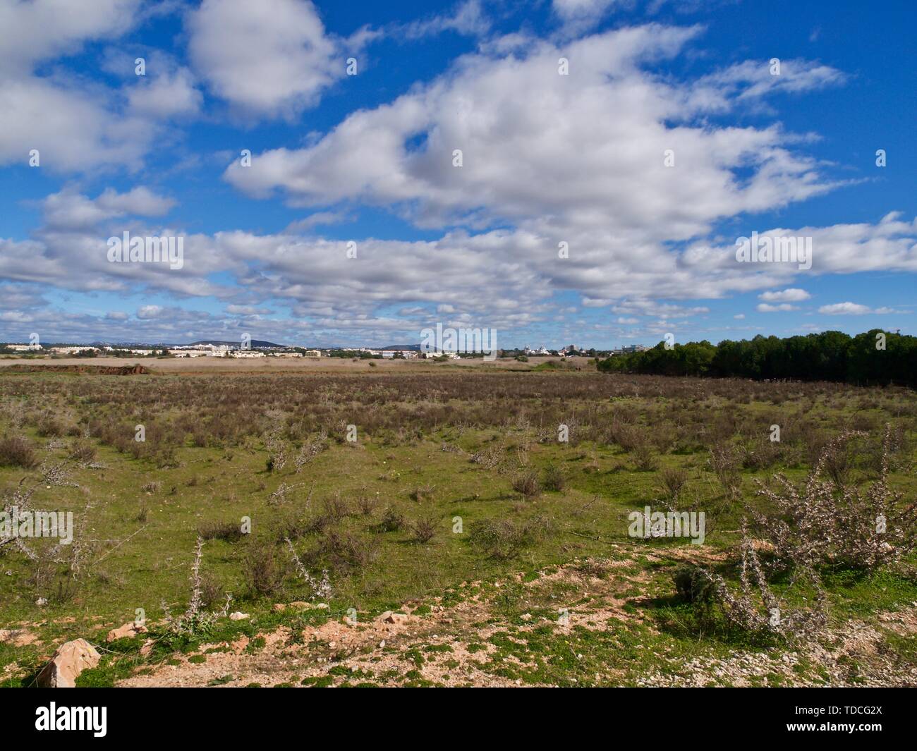 agriculture in Portugal, typical landscapes Stock Photo - Alamy