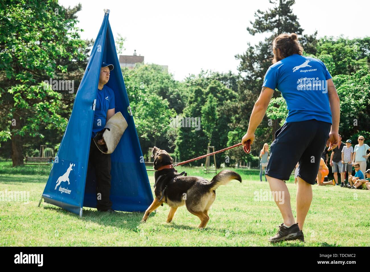 Bratislava, Slovakia - June 2nd 2019 : Best dog of Ruzinov, simulation of dog defense, cop and bandit Stock Photo