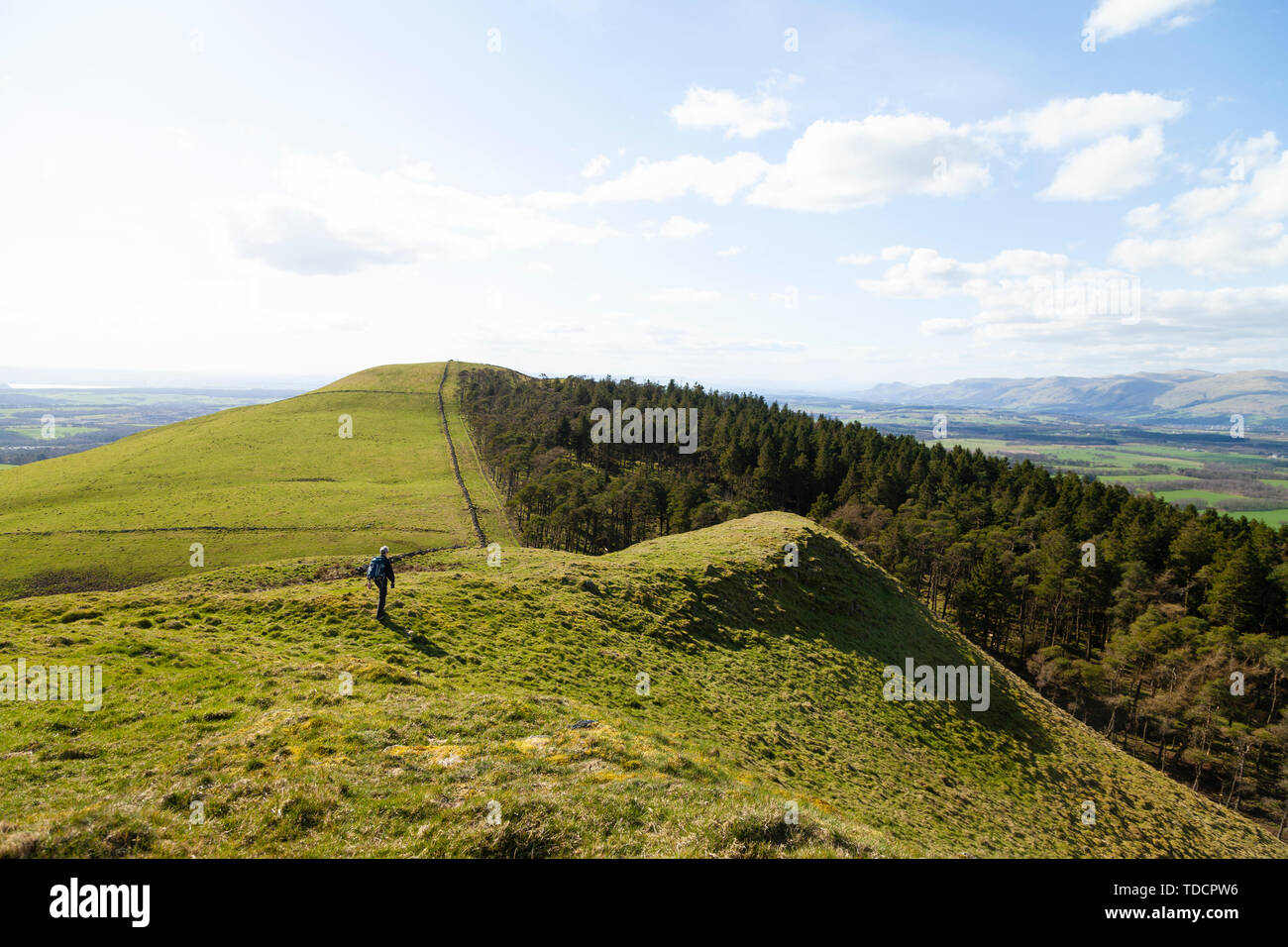 A walker heading towards Wester Cairn on Saline Hill Fife Scotland Stock Photo