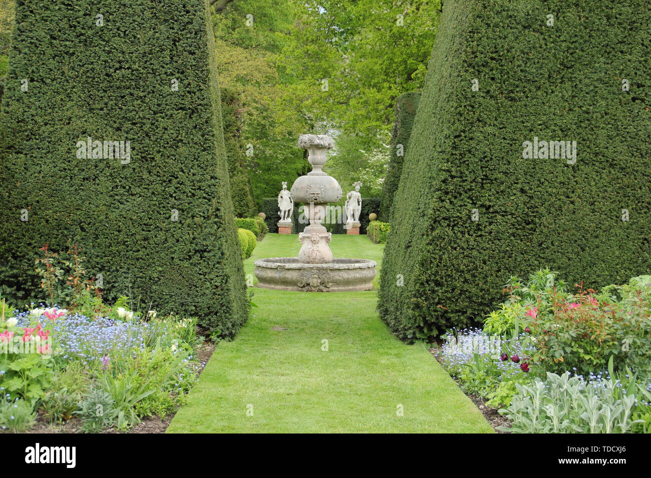 Taxus baccata. Statuary and herbacrous borders seen from yew hedging in the Italianate gardens at Renishaw Hall and Gardens, Derbyshire in May Stock Photo