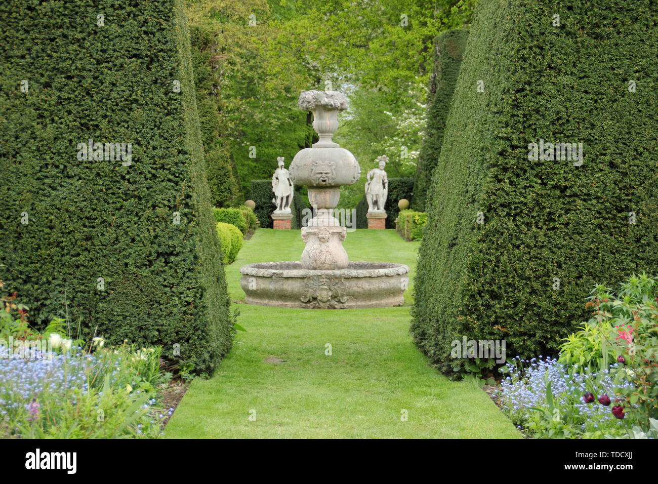 Taxus baccata. Statuary and herbacrous borders seen from yew hedging in the Italianate gardens at Renishaw Hall and Gardens, Derbyshire in May Stock Photo