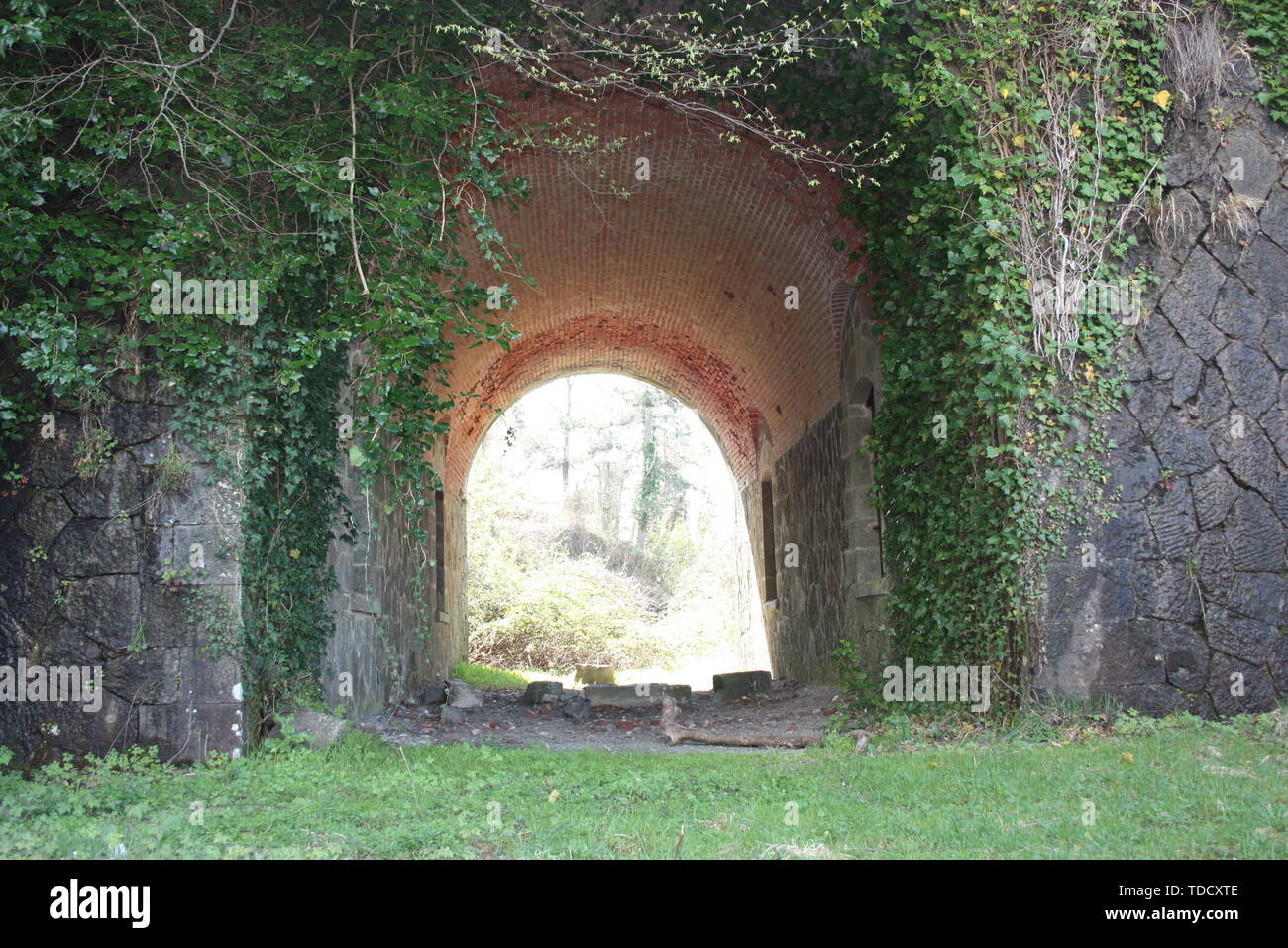 scary access portal, arched to enter the Fort Bastion of Fosdinovo, a fortress taken by nature and wild vegetation Stock Photo