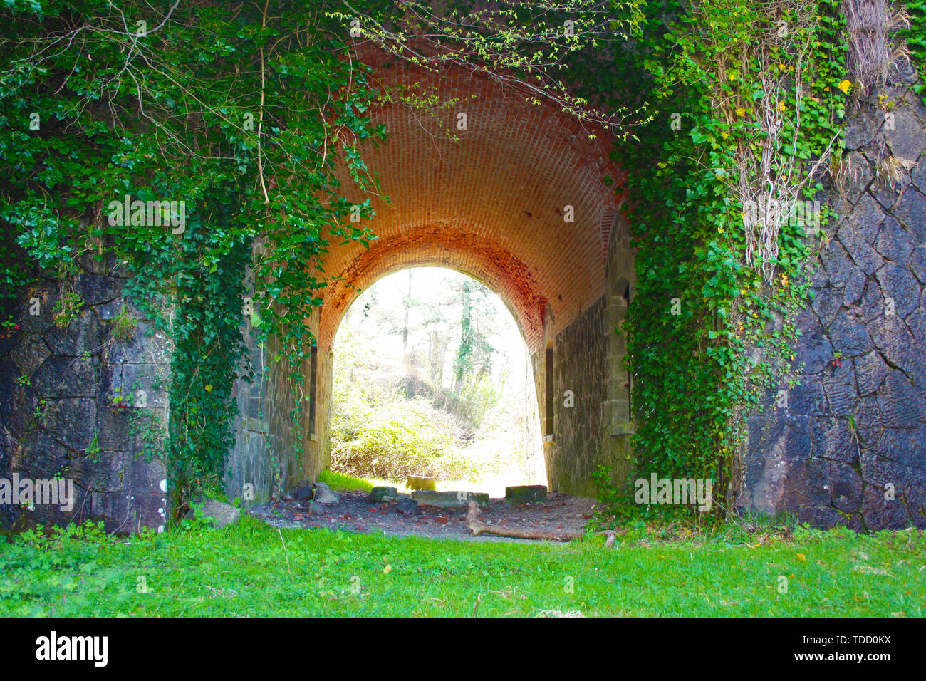 scary access portal, arched to enter the Fort Bastion of Fosdinovo, a fortress taken by nature and wild vegetation Stock Photo