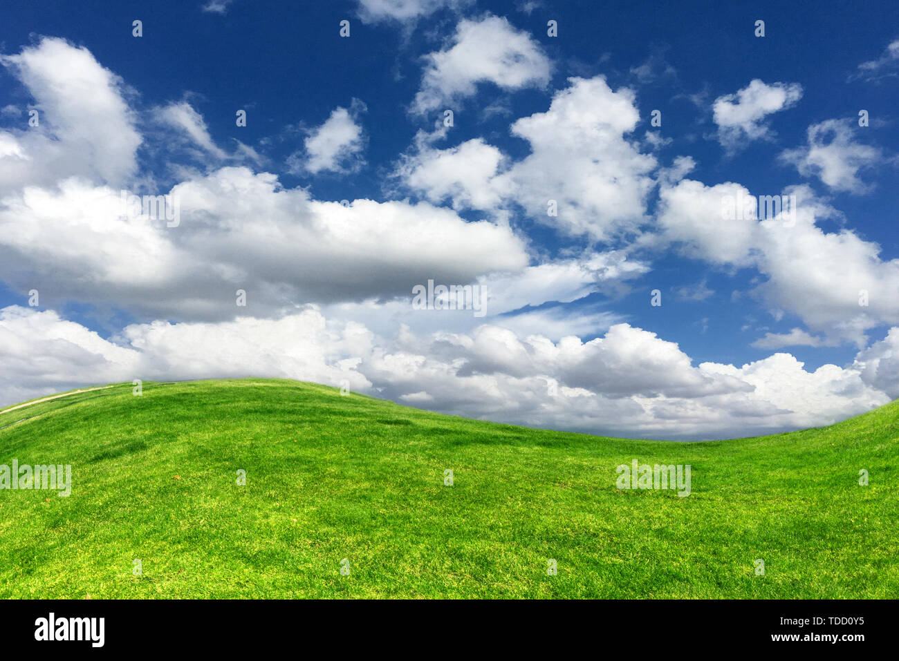 Green grass under blue sky and white clouds Stock Photo - Alamy