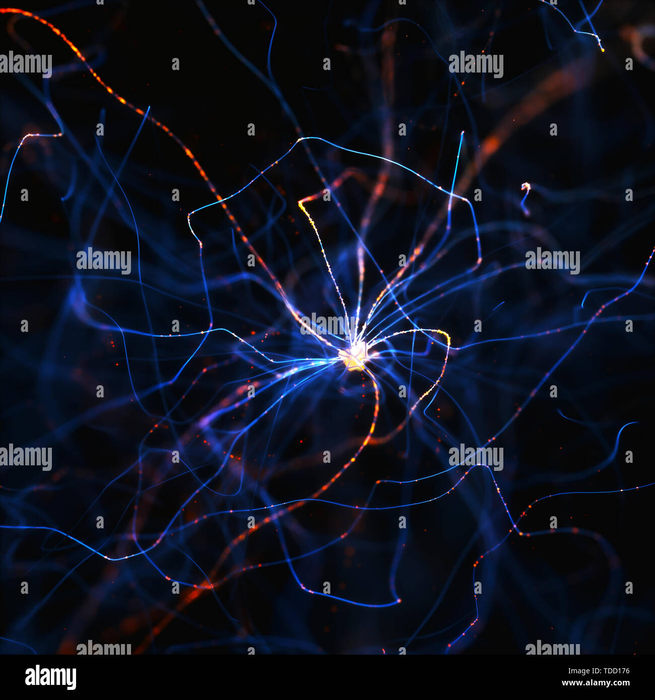 Nerve cell, illustration Stock Photo