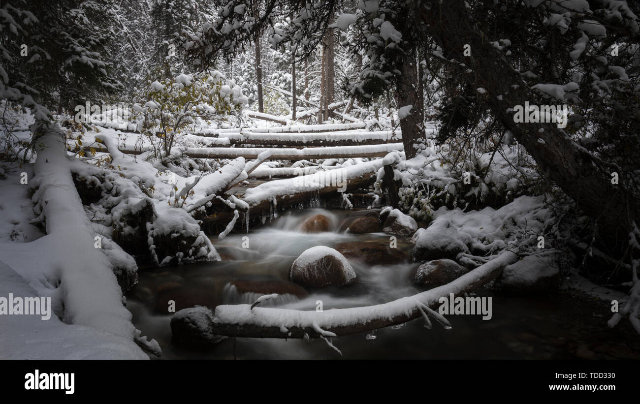 River, Winter, Rockbound Lake Trail, Banff Nationalpark, Silverton Fall, Alberta, Canada Stock Photo