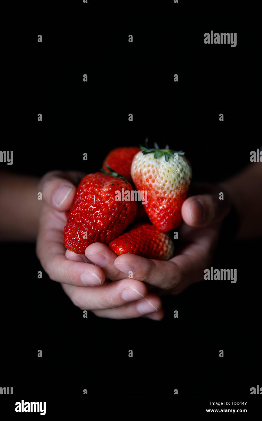 Black background holding strawberries in hand Stock Photo - Alamy