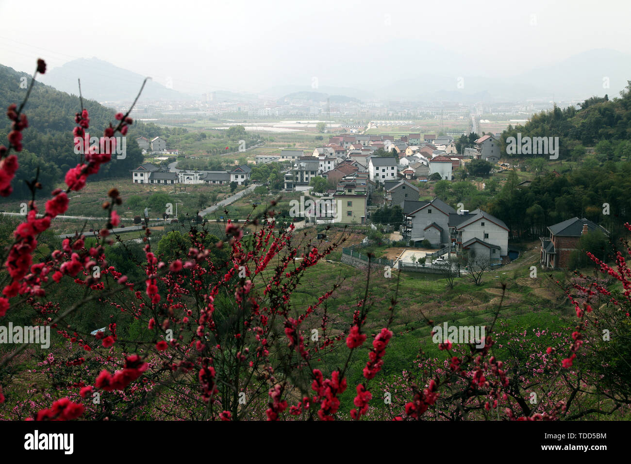 The place where peach blossoms bloom in Yangshan, Tonglu, Hangzhou Stock Photo