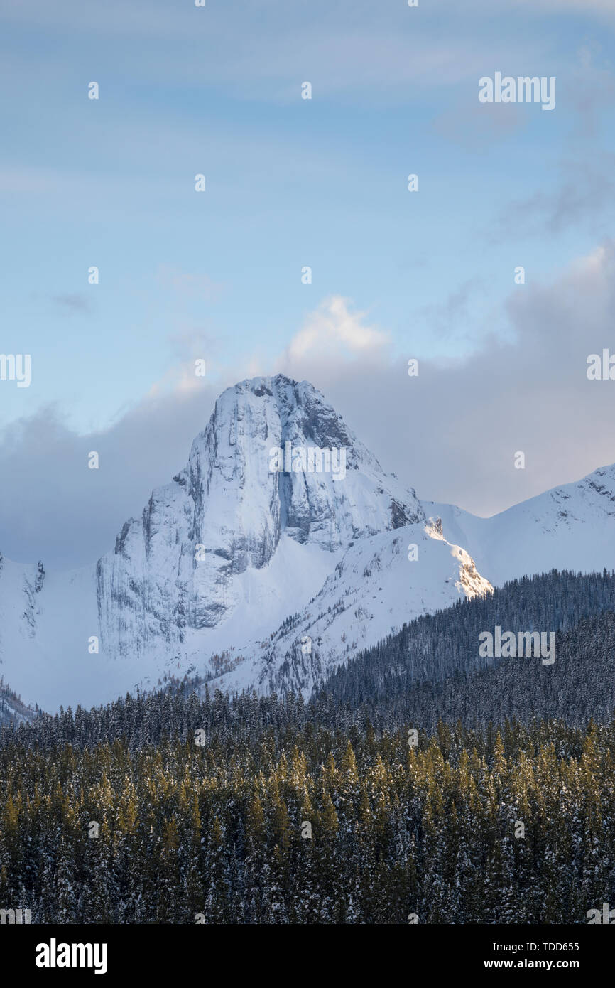 Great Mountain View, Commonwealth Peak, Spray Valley Lakes Provincial Park, Kananaskis, Alberta, Canada Stock Photo