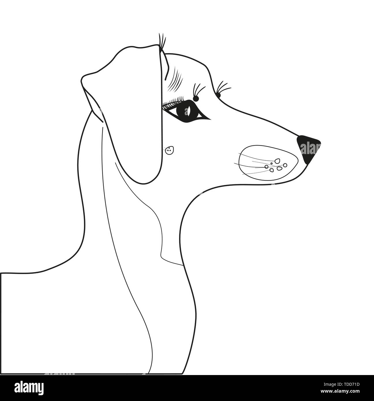 dachshund breed dog in profile with beautiful dedicated eyes of a dachshund breed Stock Vector