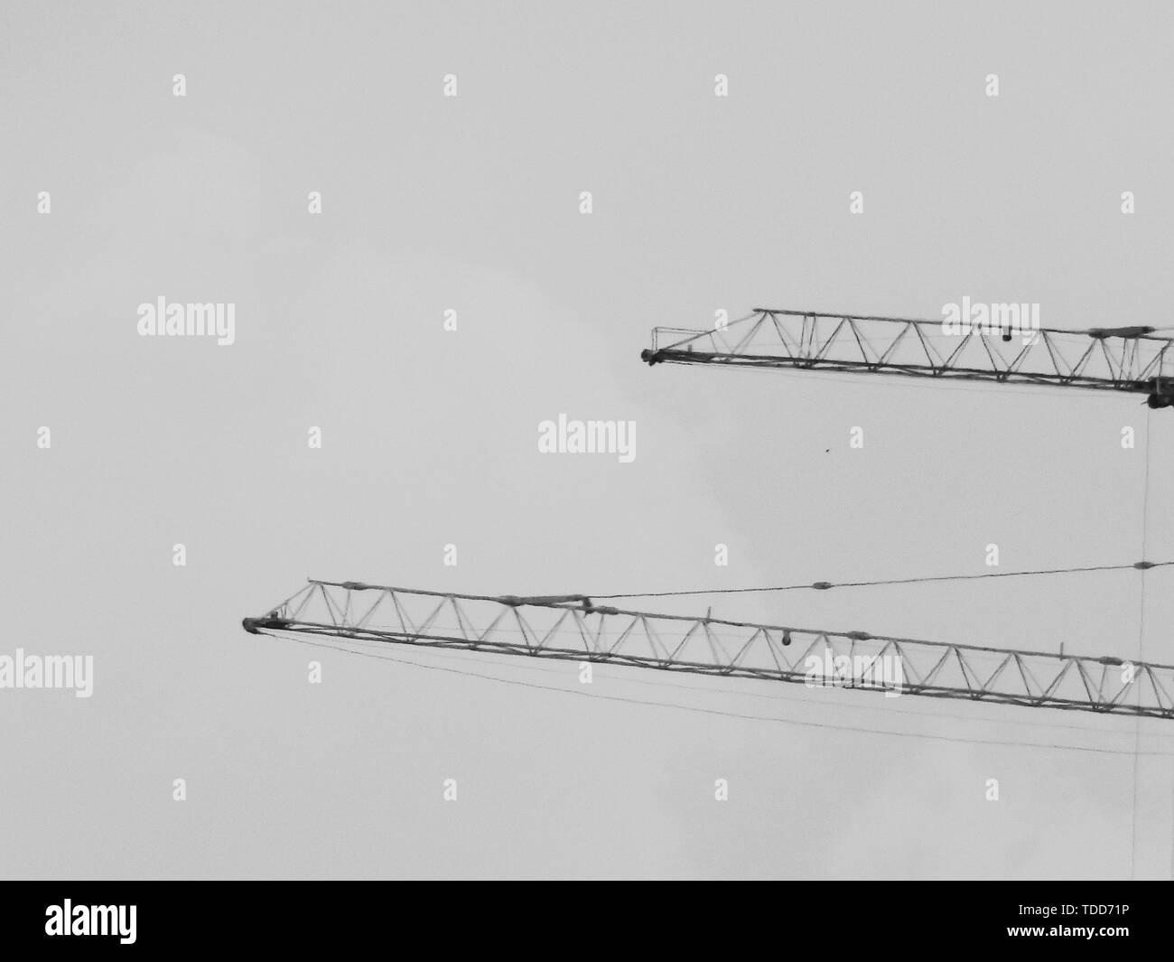 Cranes black and white Stock Photo - Alamy