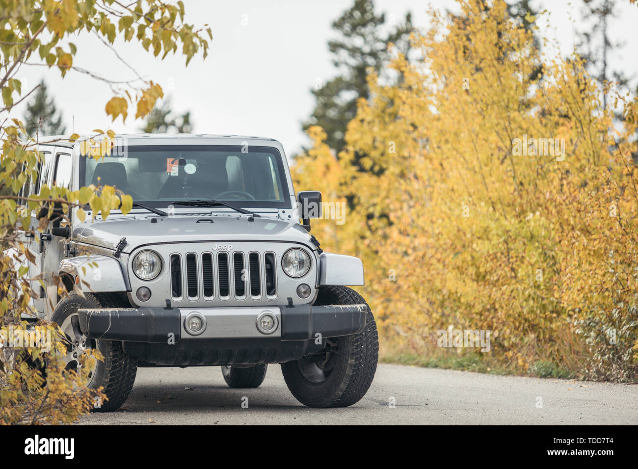 Offroad Vehicle, Jeep Wrangler, Kootenay Plains, Alberta, Canada Stock Photo