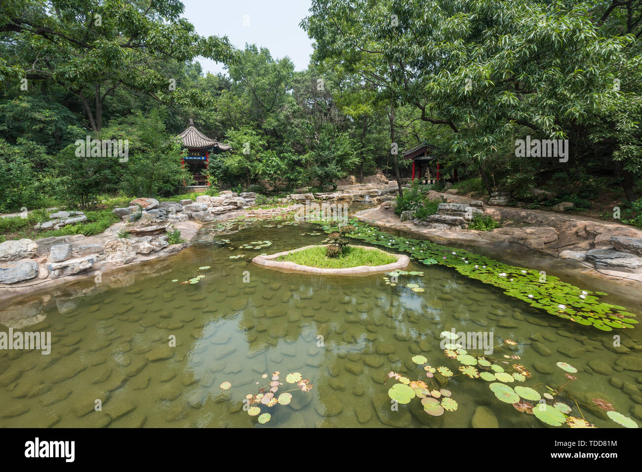Park lotus pond woods rockery ancient building Stock Photo - Alamy