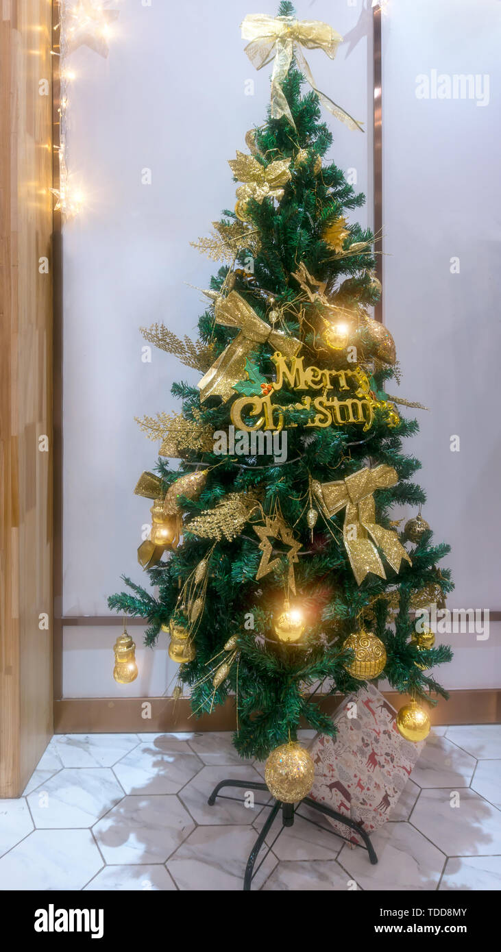 Golden spruce tree hi-res stock photography and images - Alamy