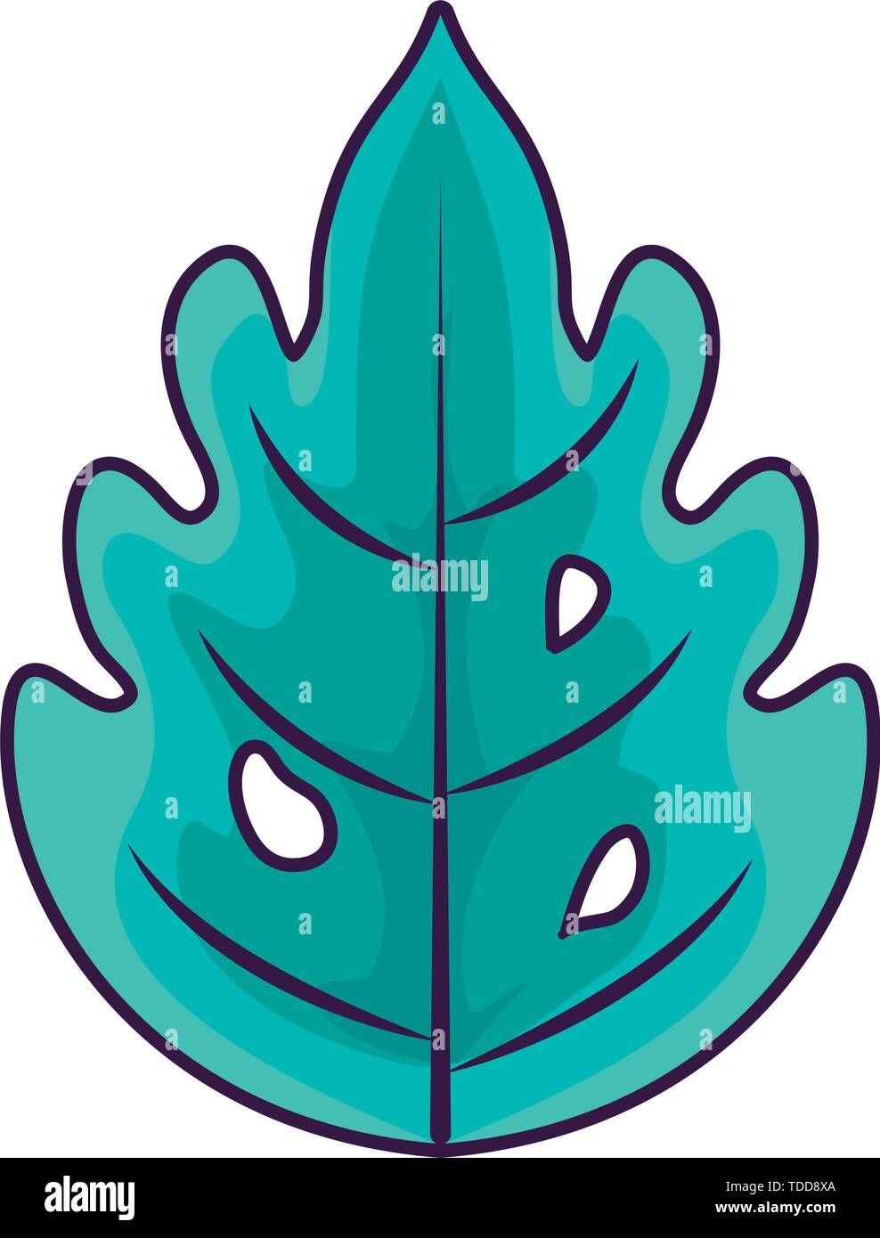 summer leaf natural isolated icon vector illustration design Stock ...
