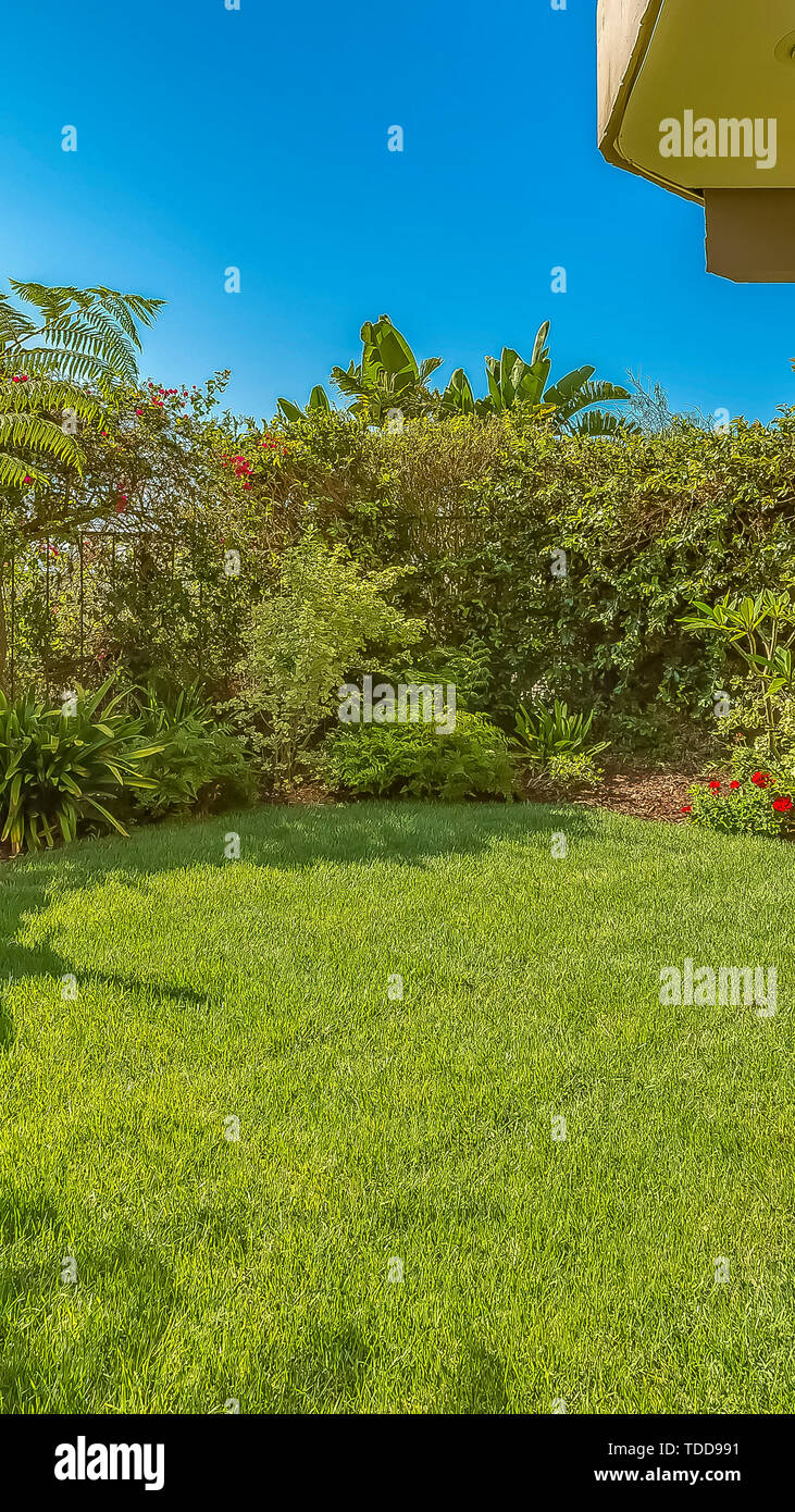 Vertical Lush garden of a home with vibrant green foliage and colorful ...