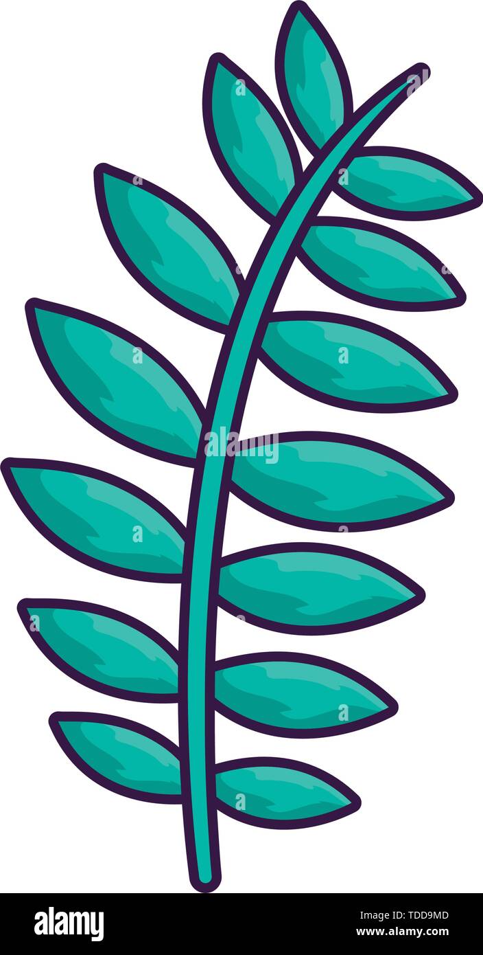 summer leaf natural isolated icon vector illustration design Stock ...