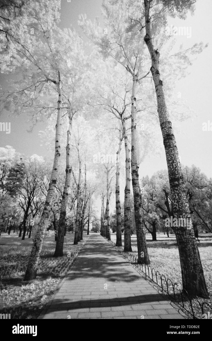 Road To Heaven Black and White Stock Photos & Images - Alamy
