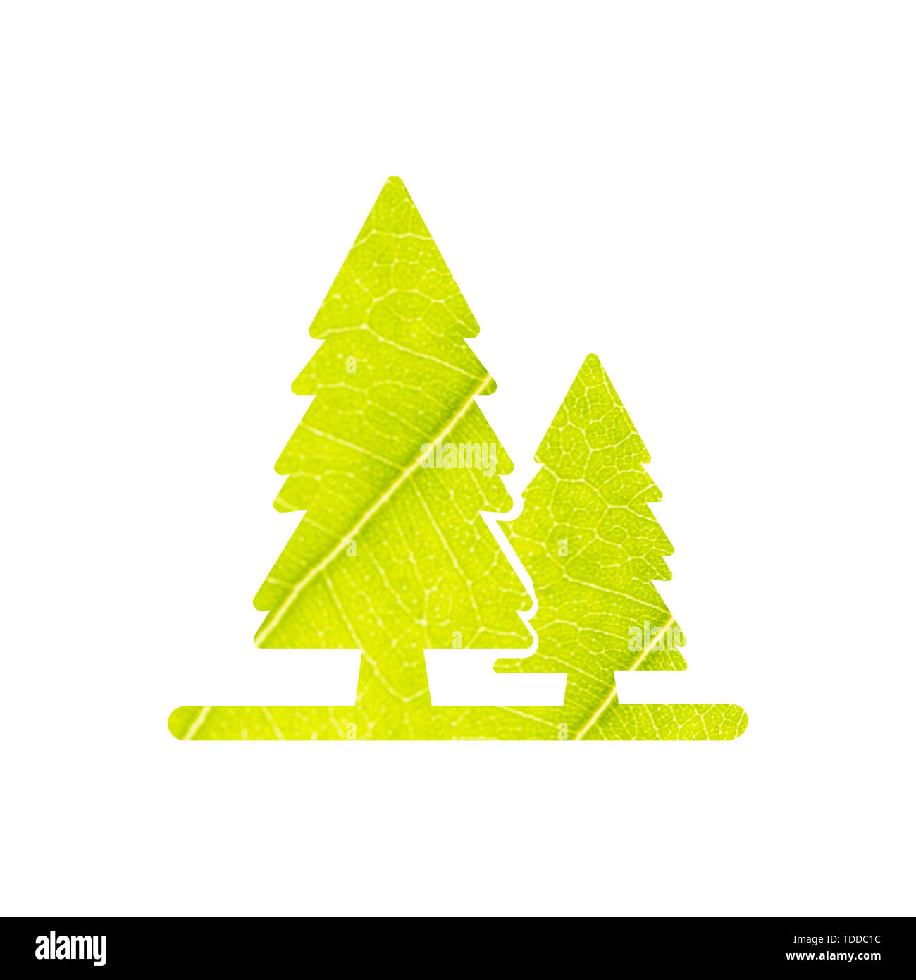 Driving trees Cut Out Stock Images & Pictures - Alamy