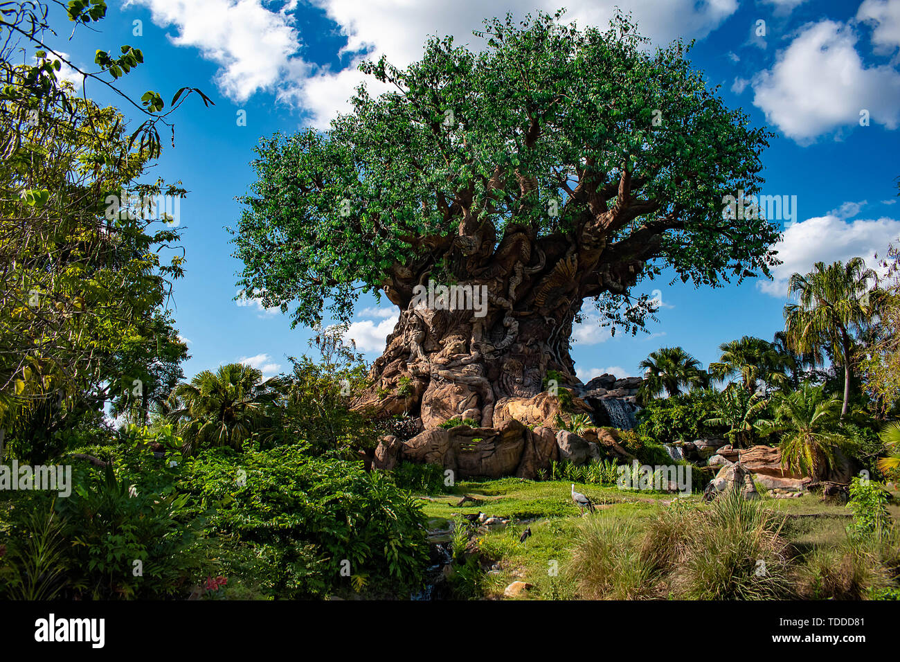 Orlando, Florida. May 03, 2019 .Beautiful view of Tree of Life at Animal  KIngdom at Walt Disney World area Stock Photo - Alamy