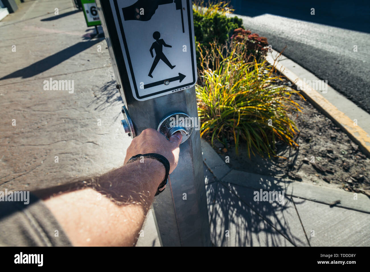 Man push button at a Pedestrian Crosswalk, Creston, British Columbia, Canada Stock Photo