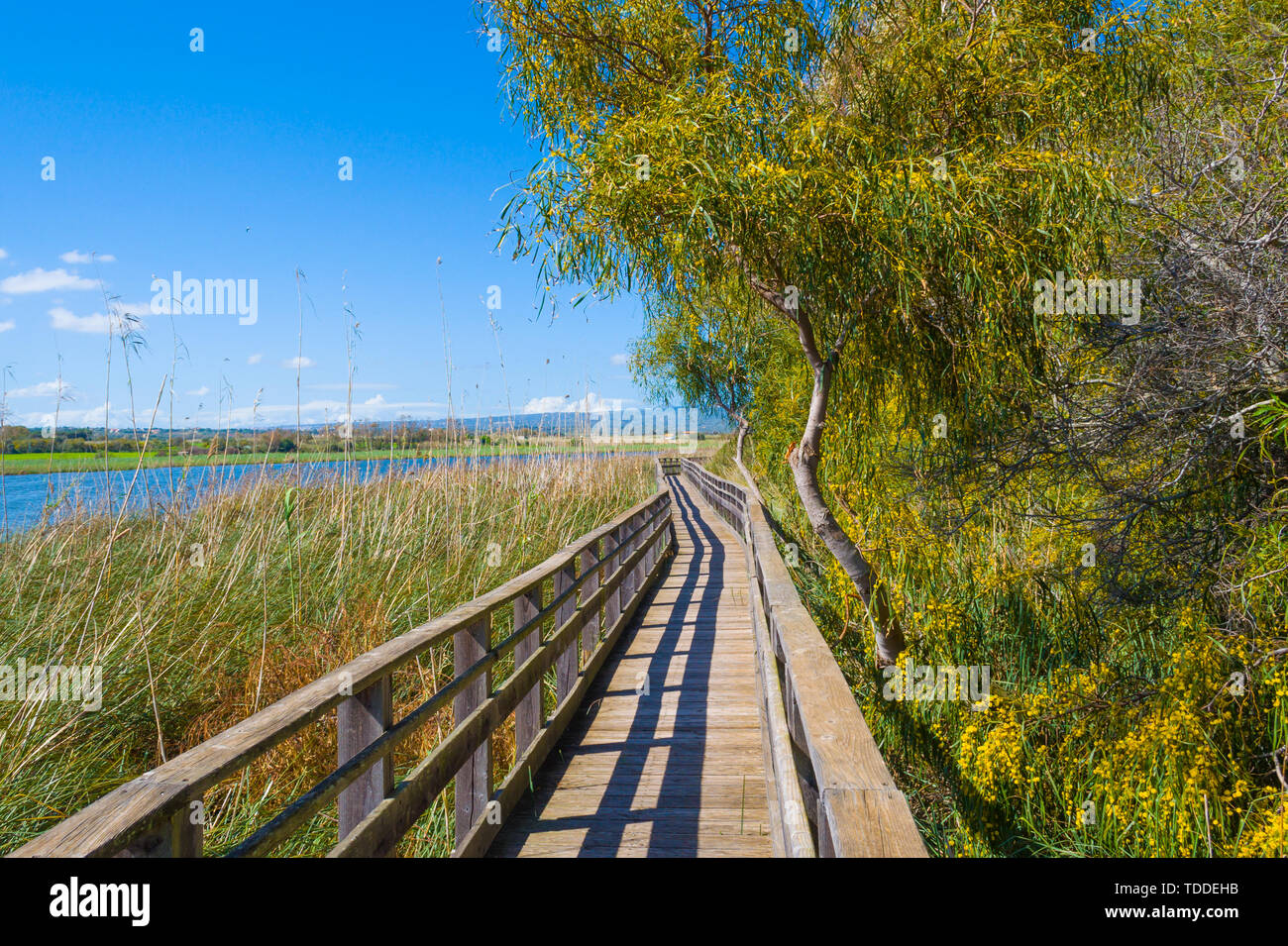 Wooden path in the pond of Platamona Stock Photo