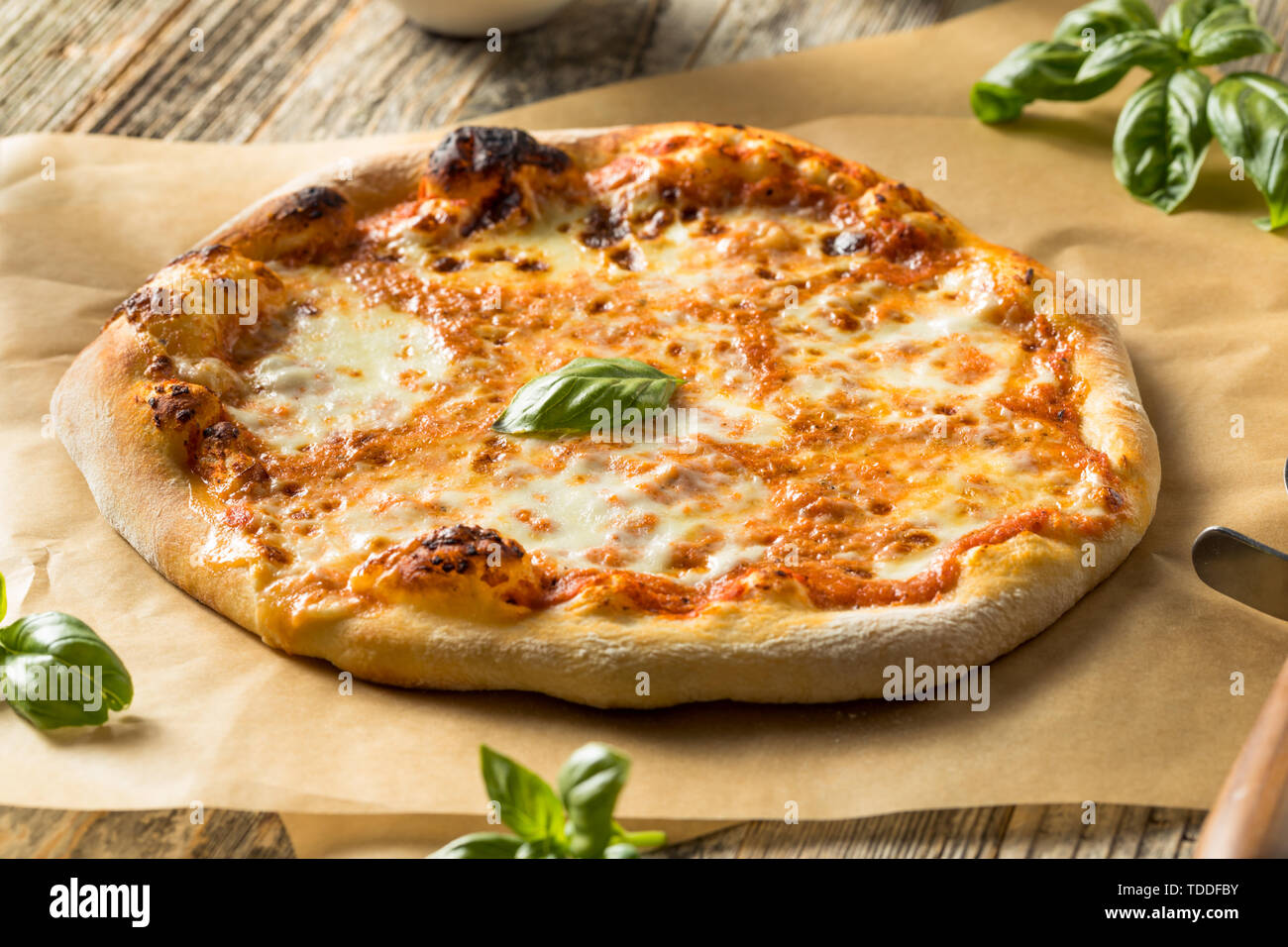 Homemade Traditional Neopolitan PIzza with Cheese and Basil Stock Photo