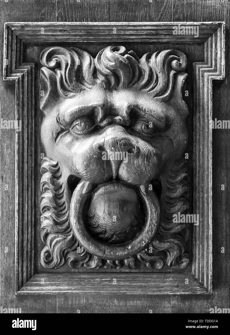 Close-up of traditional lion head shaped door knocker Stock Photo