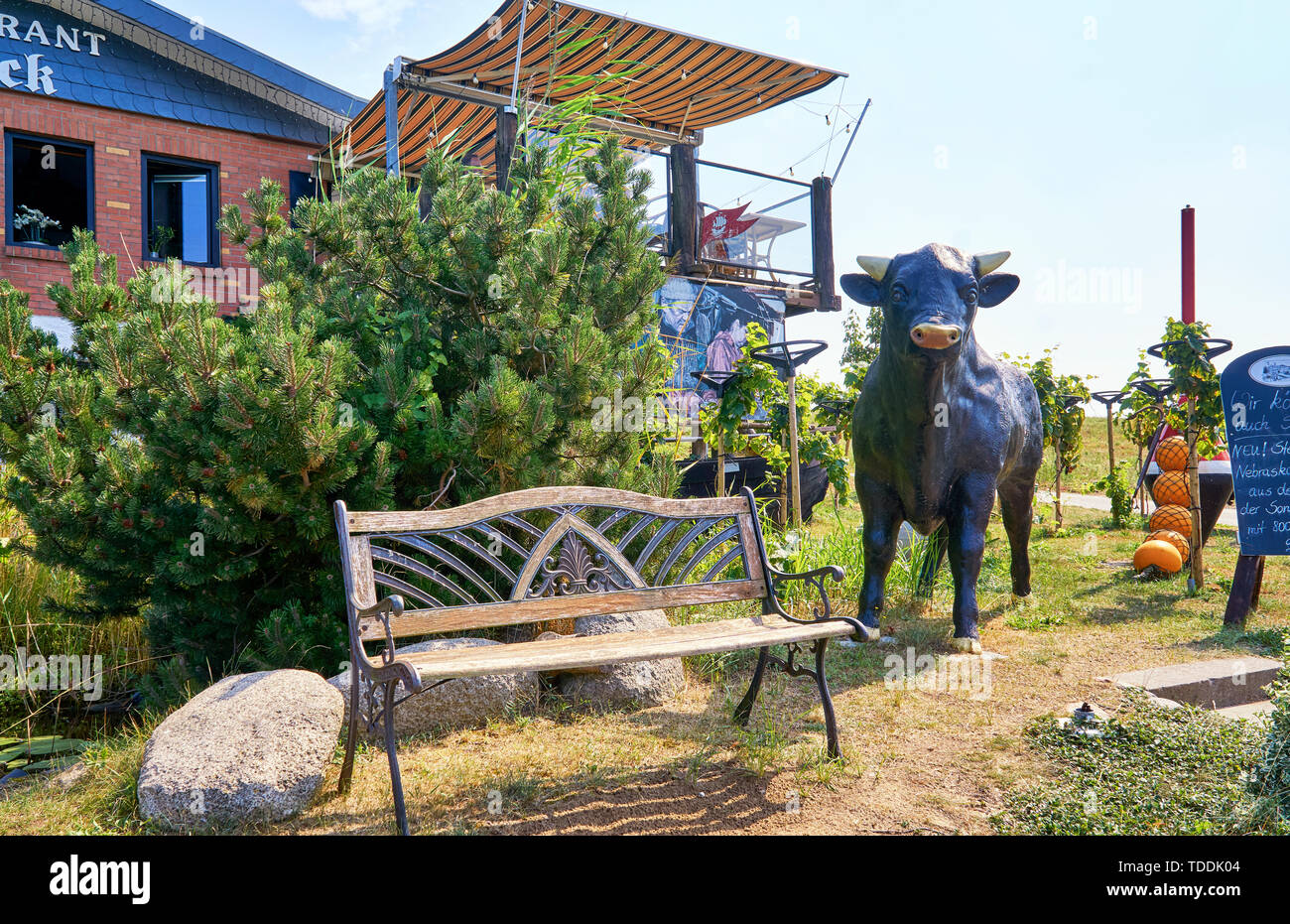 Restaurant on the vineyard on the island of Usedom on the Baltic Sea. With bench and cow in the garden. Stock Photo