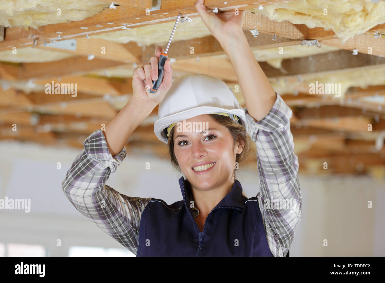 female house worker on the ceiling Stock Photo - Alamy