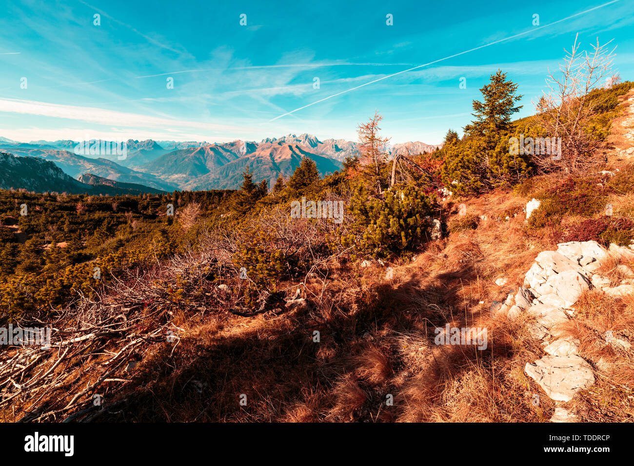 Sunny day in the carnic alps during a colorful autumn Stock Photo - Alamy