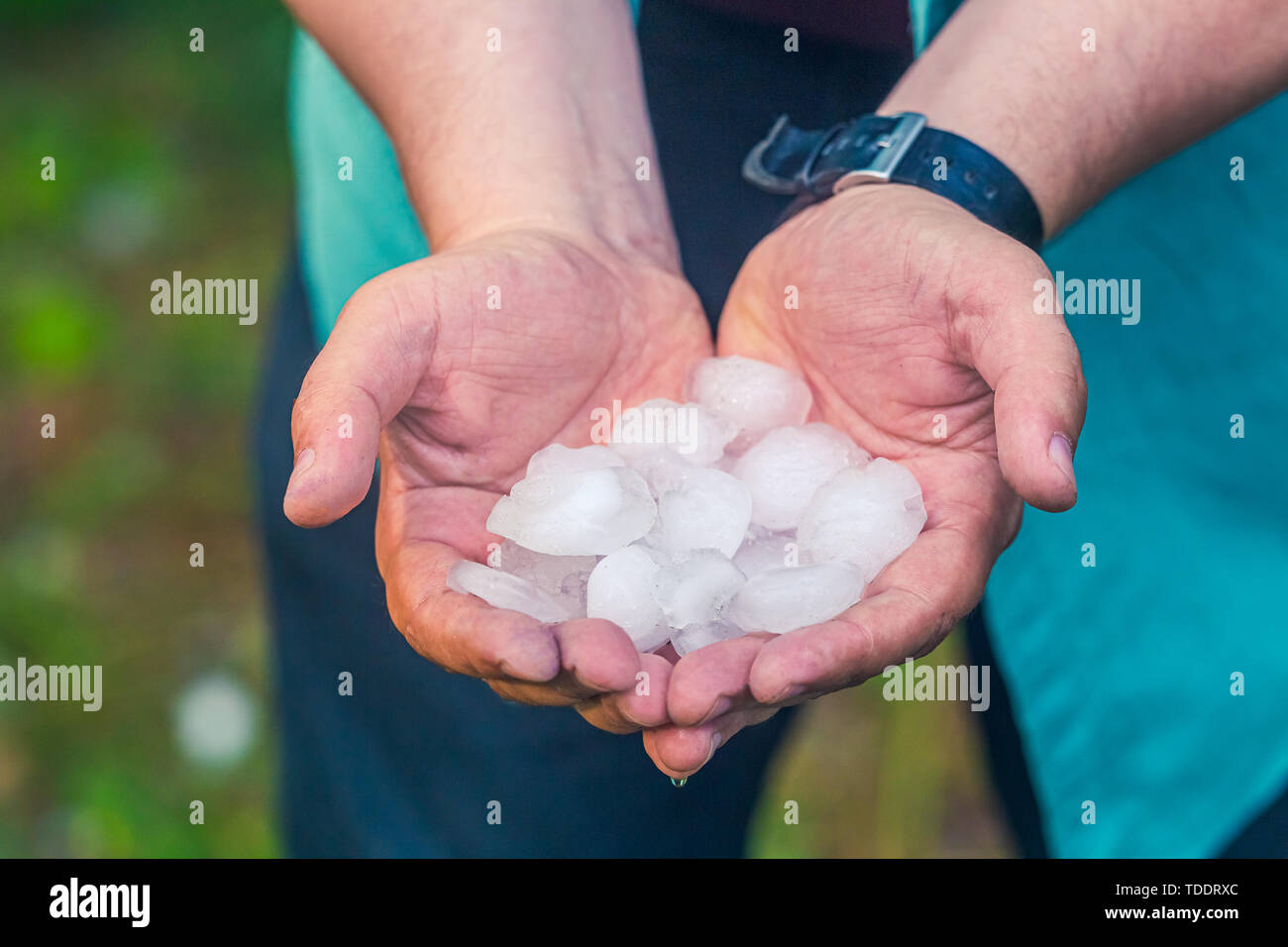 Man hand holding a hail after hailstorm Stock Photo