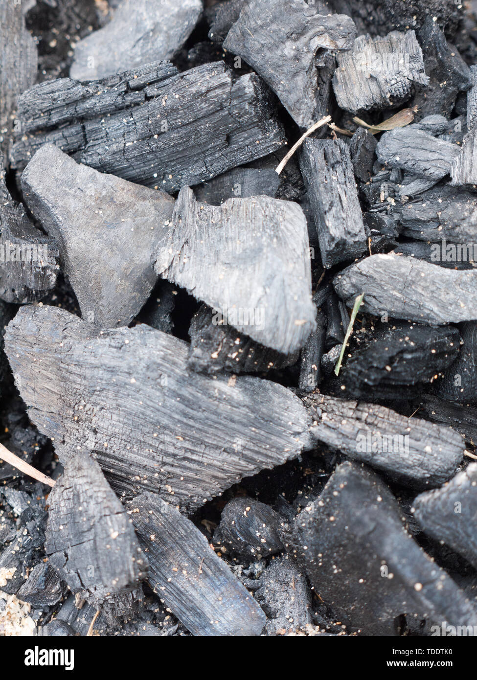 close up of black charcoal for fire on beach unlit; england Stock Photo