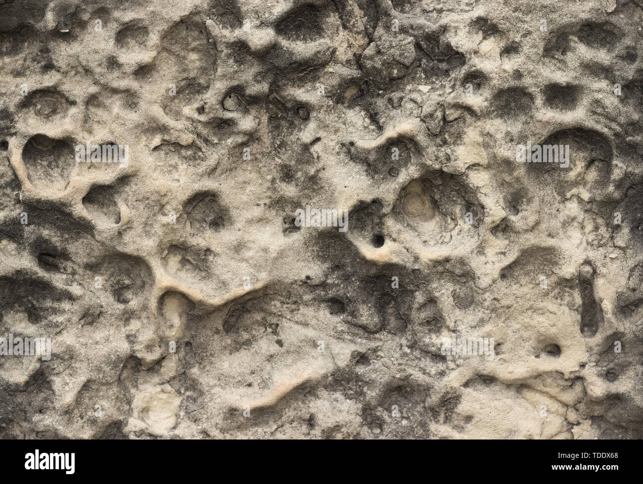 Natural rock texture of grey limestone with little holes Stock Photo