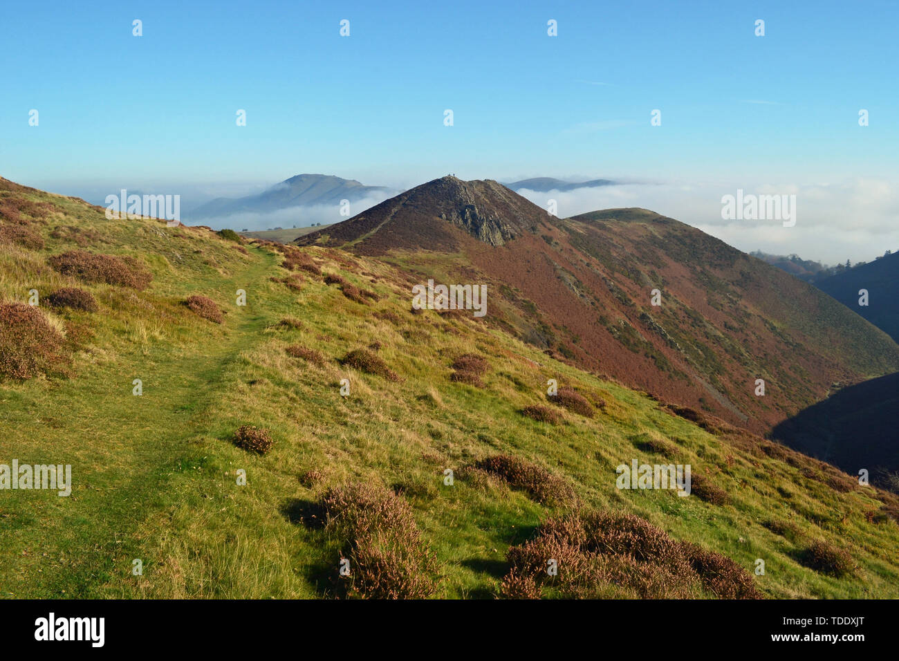 View from The Long Mynd in the Shropshire Hills, UK, with peaks above the clouds. Stock Photo